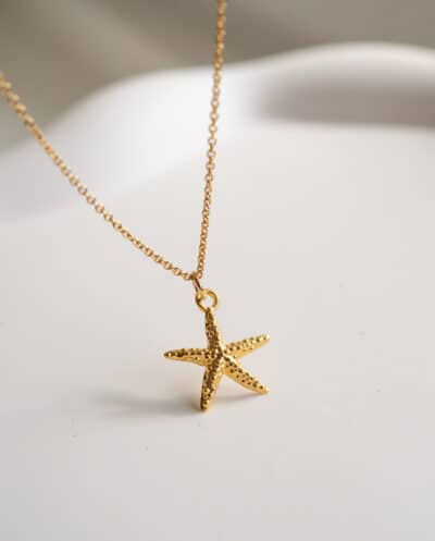 Gouden zeester ketting zeester hangertje starfish necklace van Goud op Zilver ster kettinkje