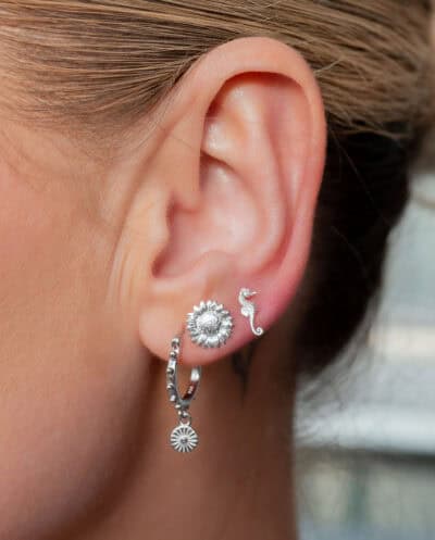 Zilveren oorknopjes met zeepaardje, Seahorse studs