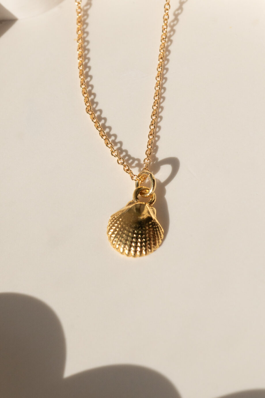 Gouden ketting met schelpje hangertje schelp kauri schelpje hanger zee van goud op zilver-1